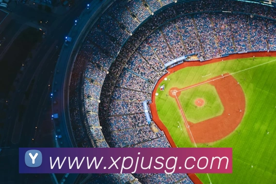 App Interface Preview