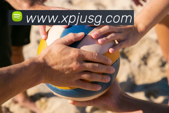 新葡京娱乐APP 封面图